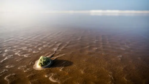 Que faire à Agadir