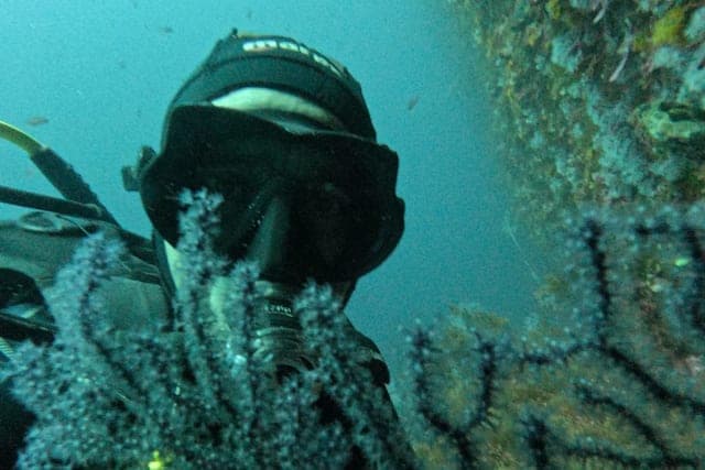 Pass Explorateur Pro M'diq — 10 Plongées Méditerranée