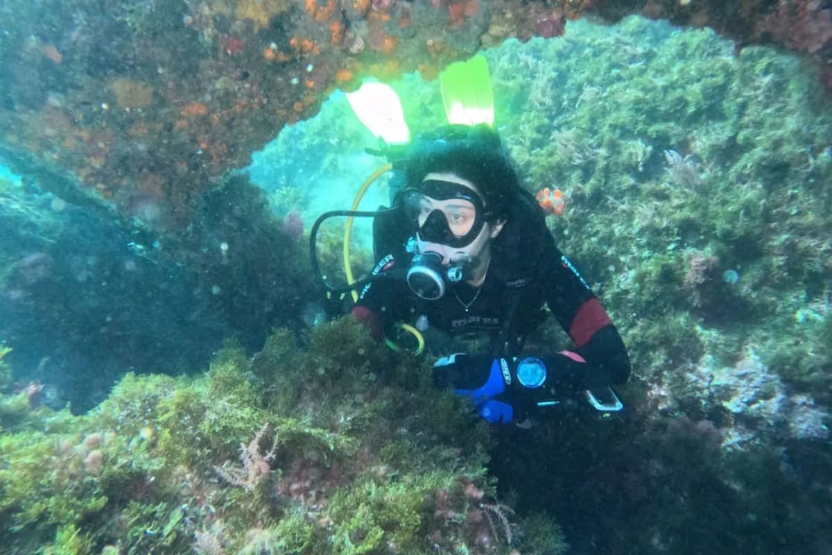 Pass Explorateur Pro M'diq — 10 Plongées Méditerranée 2