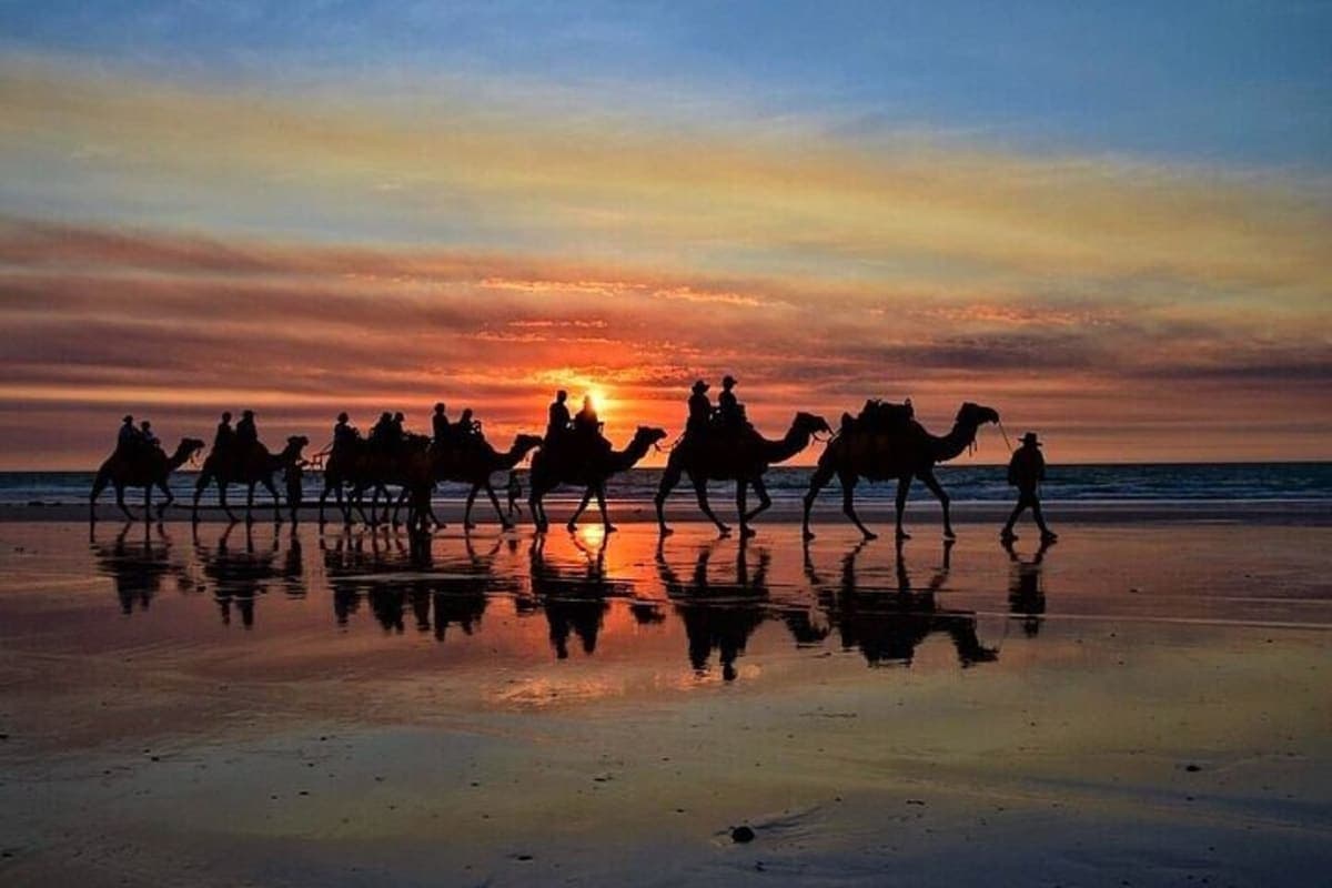 Balade Chameau au Coucher de Soleil — Plage de Tanger
